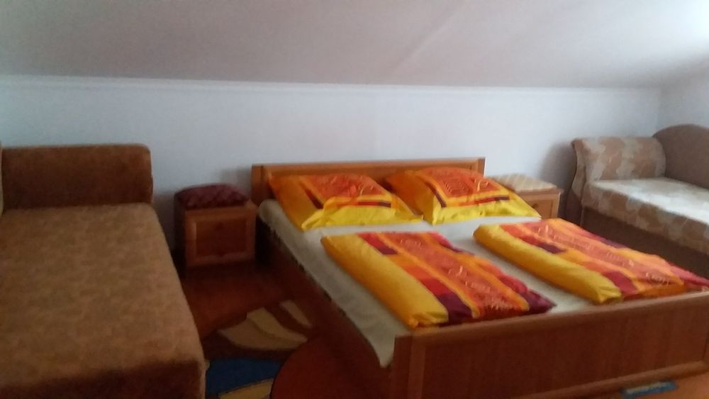 Зимова мелодія Карпат