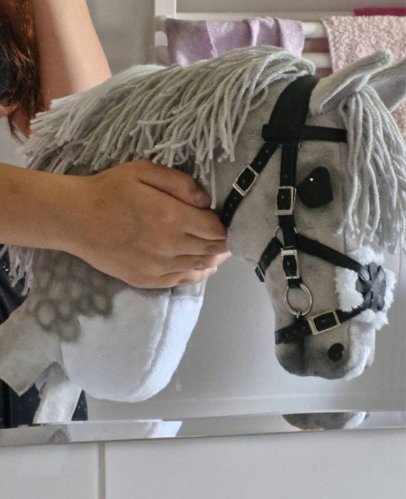 Hobby horse zamu
