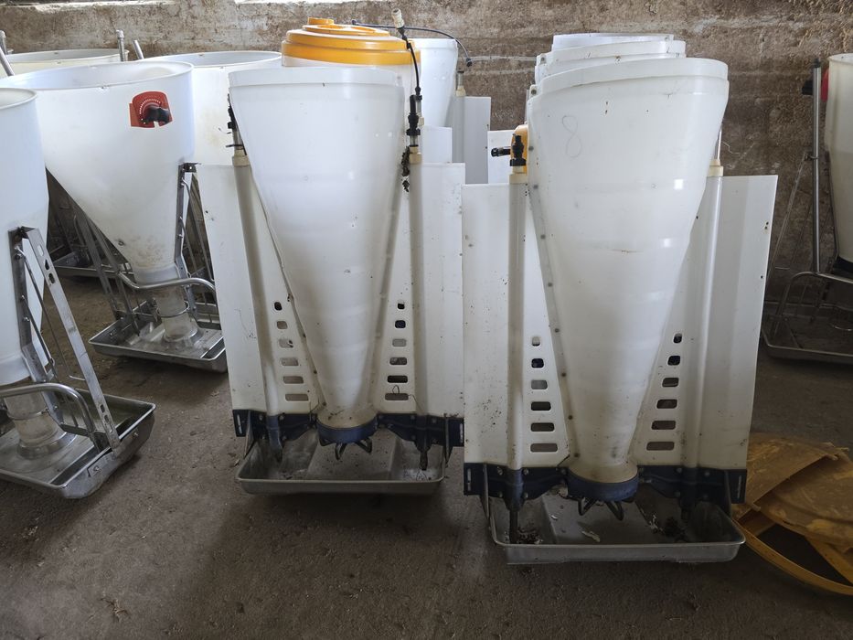 Automaty paszowe