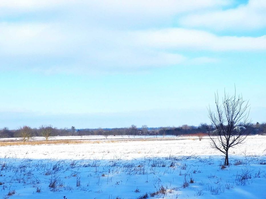 Продам земельну ділянку під житлову забудову в с.Писарівка 5180