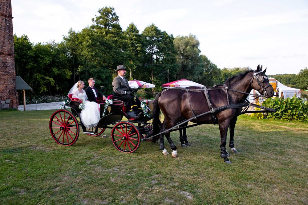 Bryczka parowa visavi