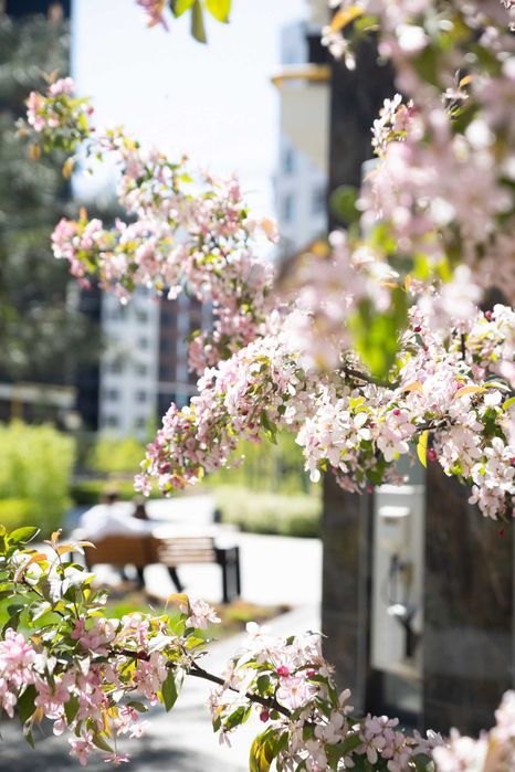 2к квартира від забудовника. Пресейл, без комісій