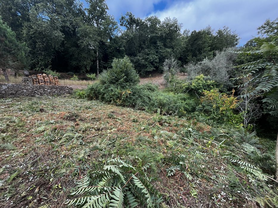 Terreno para venda em chelo Penacova