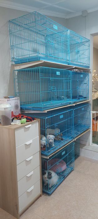 Gaiolas para cães com limpeza facio