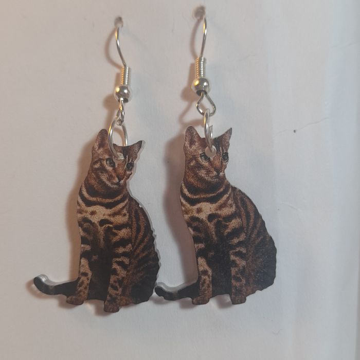 Brincos gatos hiperrealistas e fofinhos.