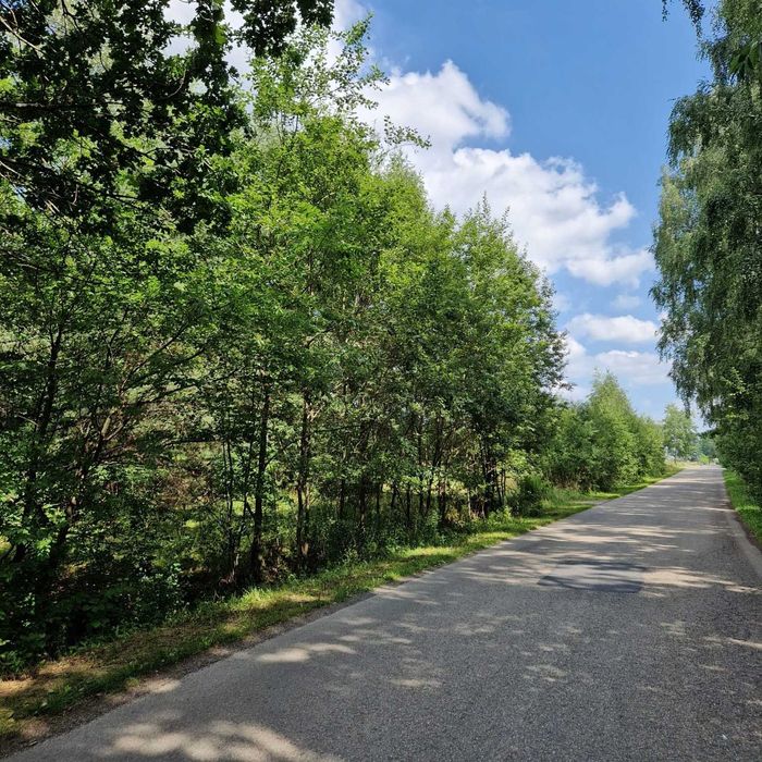 Sprzedam 2 działki budowlane przy lesie | 3000 m² | Udrzynek | asfalt