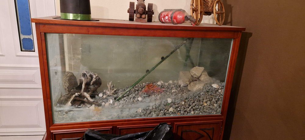 Aquario de peixes