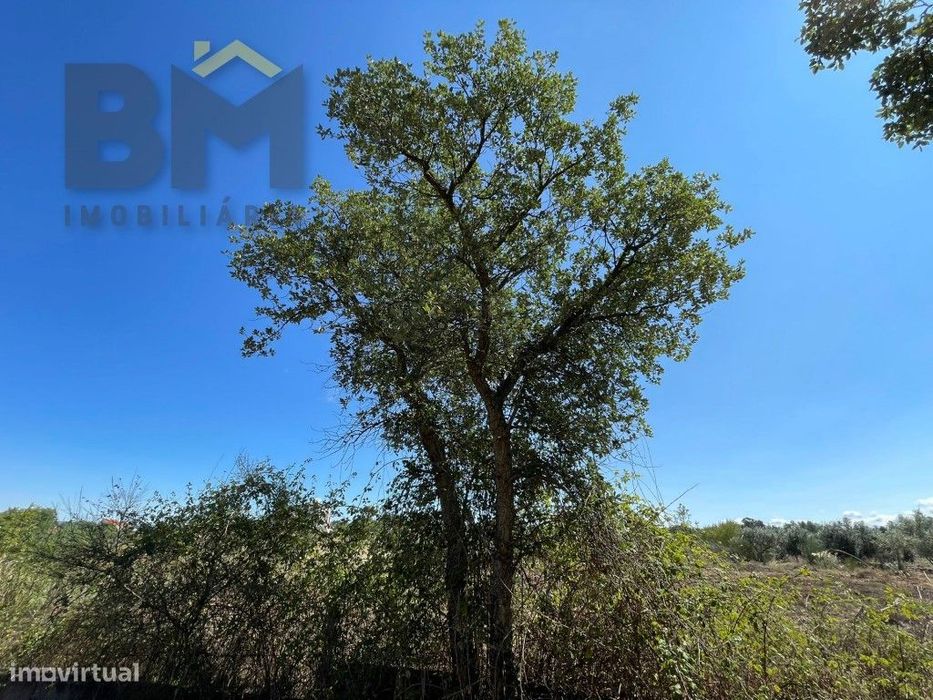 Terreno de 4000m² à Venda em Freixial do Campo