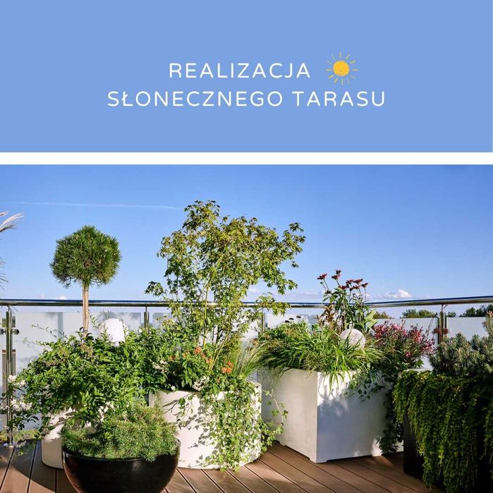 Projektowanie i realizacja ogrodów, nawierzchni i tarasów