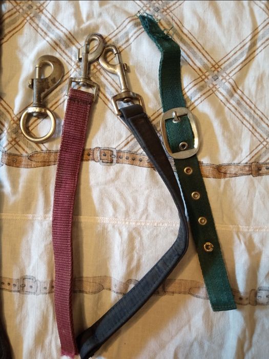 Амуніція для коня лошади