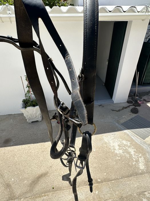 Arreio Completo Engate/Atrelagem Cavalo