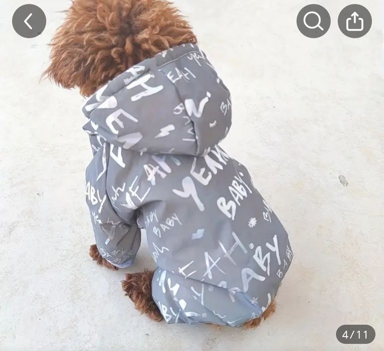 Костюмы для собаки