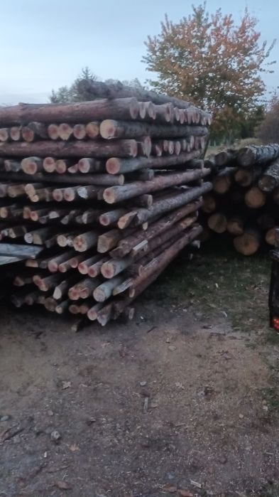 Stemple budowlane opał