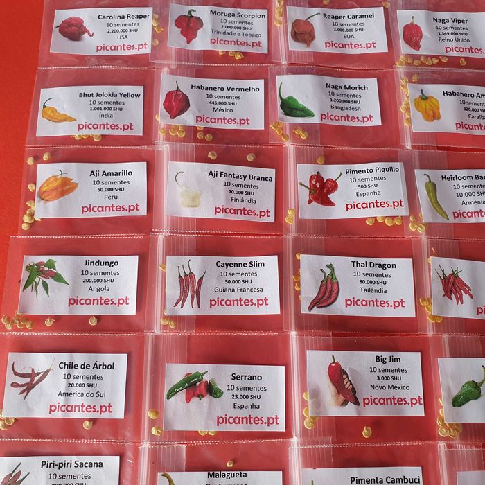 40 Variedades Pimenta Malagueta Sementes escolha as que quiser
