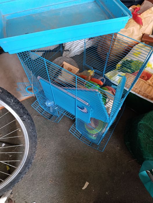 Gaiola para hamster