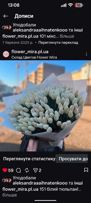 Тюльпан оптом від виробника  (опт роздріб) доставка квітів Полтава