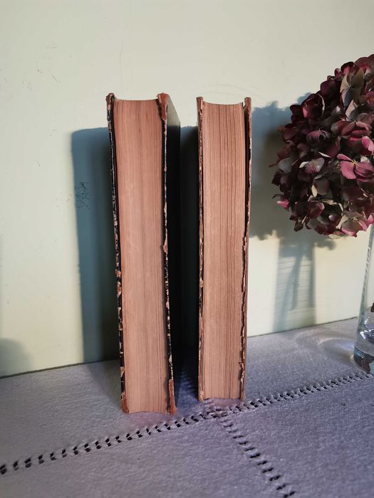 Rohren Taschen Buch część 1+2