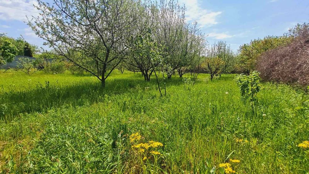 Продам БУДИНОК  в с. ЧИКАЛІВКА під ДАЧУ. 13000