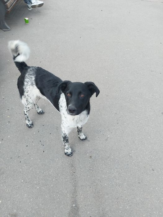 В класну родину!