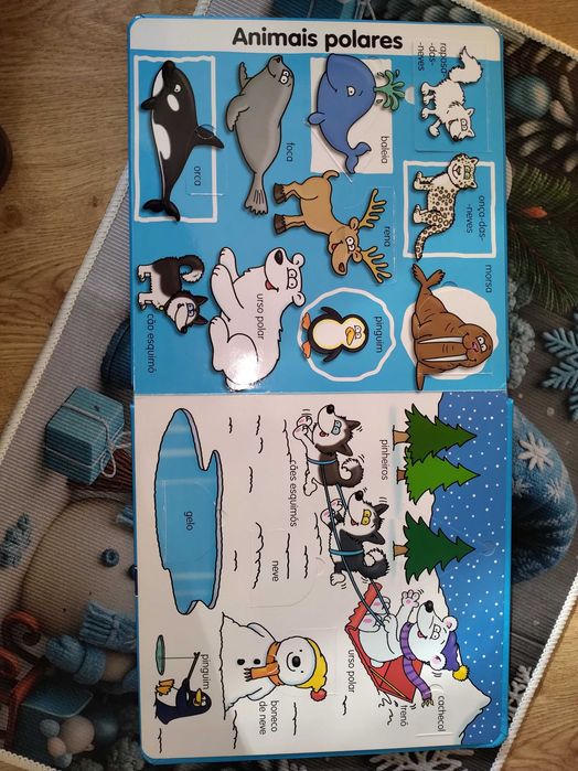 Dicionário em Imagens - Animais - livro usado