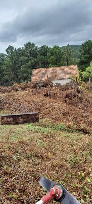 Limpeza de terrenos agrícolas e florestais