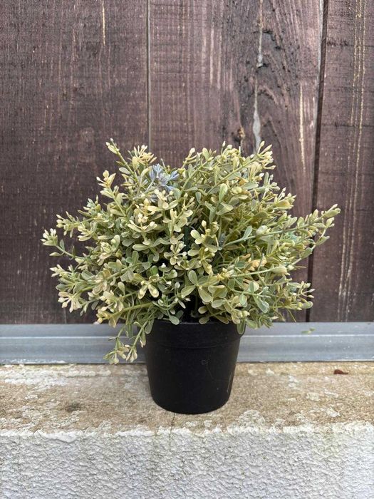 PLantas falsas decorativas