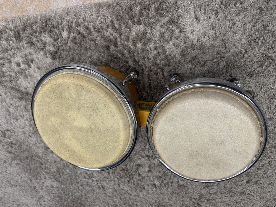 Bongo percussão