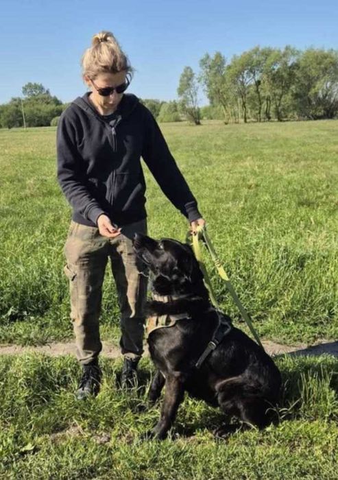 Duży, młody, czarny, mądry pies szuka domu już 2 lata