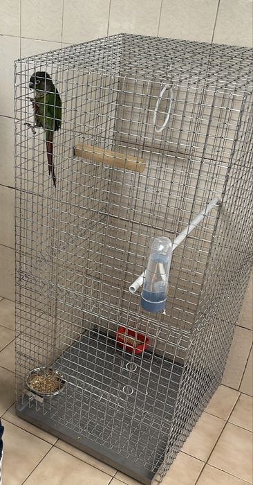 Gaiola grande em muito bom estado com 1m x 0.50m