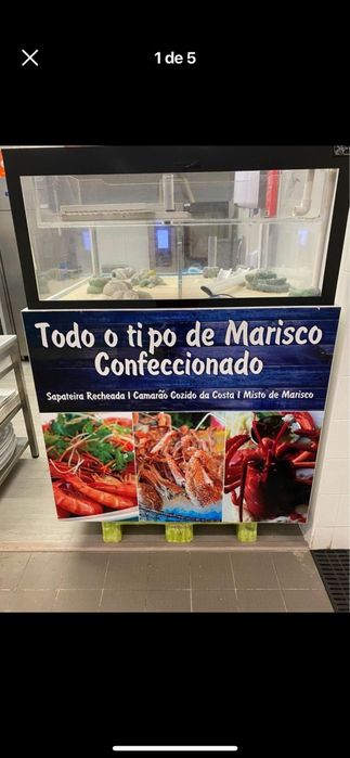 Aquario moderno de marisco de 120/120