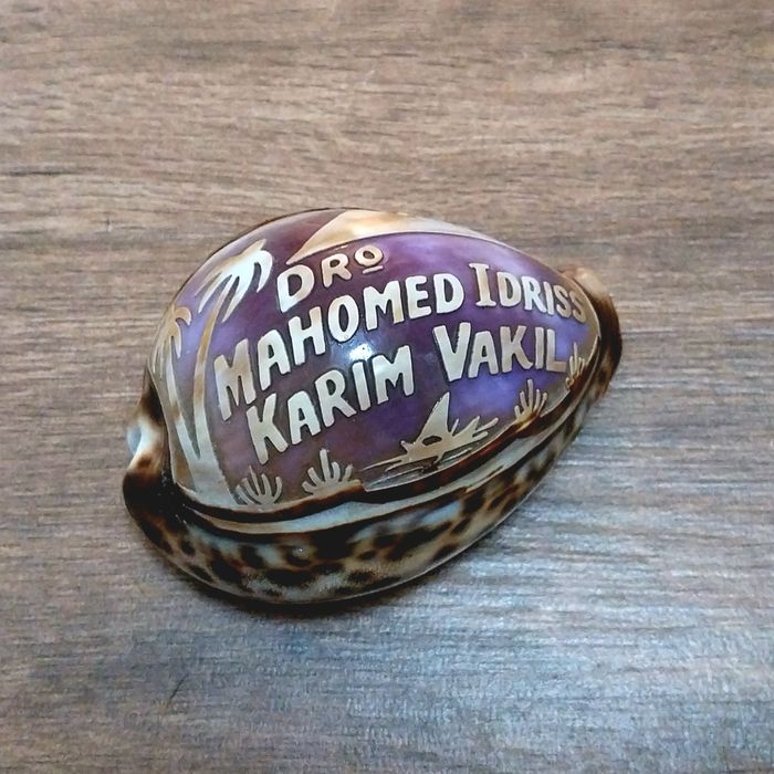 Concha muito  antiga com gravações