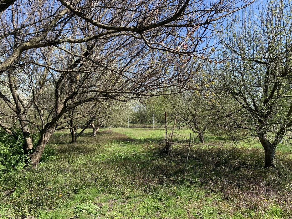Продам будинок с.Вільне Киівська обл