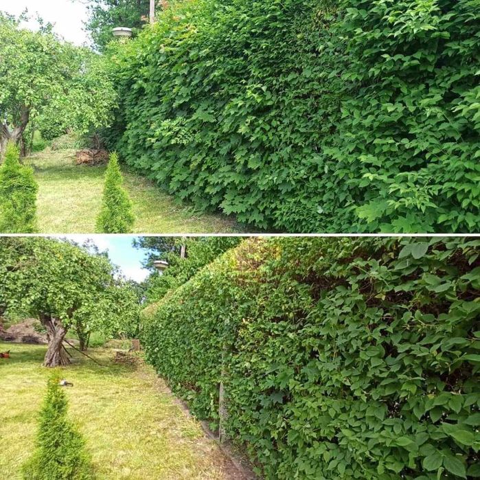 Zakładanie i pielegnacja ogrodów