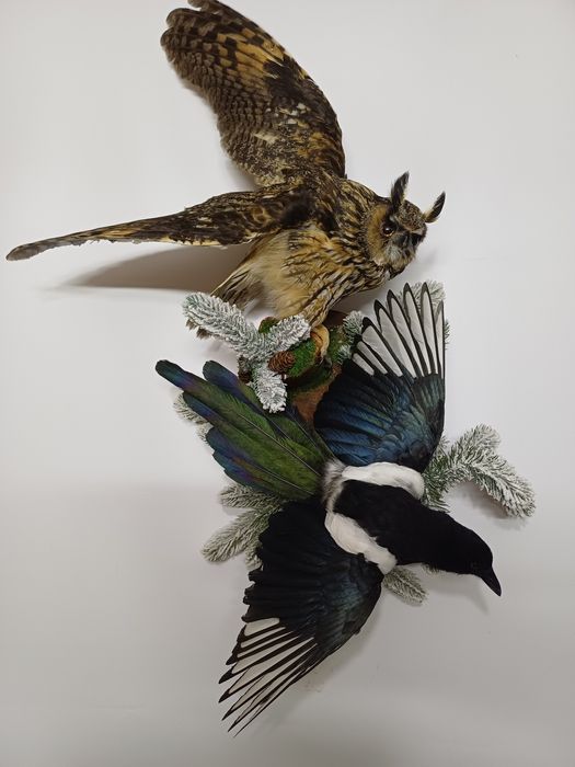 Таксидермія опудало