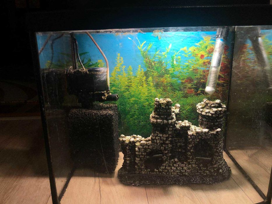 Акваріум  зі всім комплектом