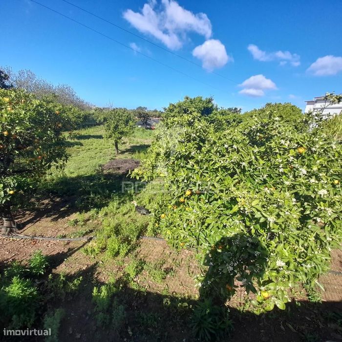 Dois terrenos rusticos com área 11400m2  na saida de Faro