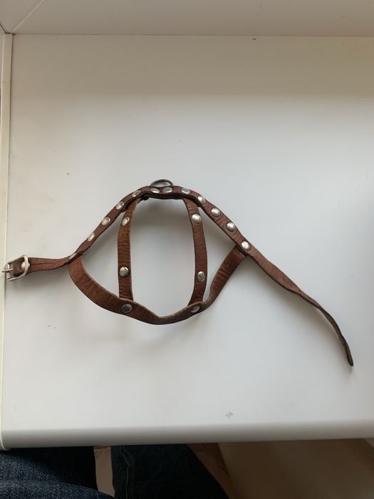 Шлея/повідець/амуніція, для домашніх тварин натуральна шкіра