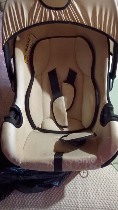 Ovo com carro de passeio