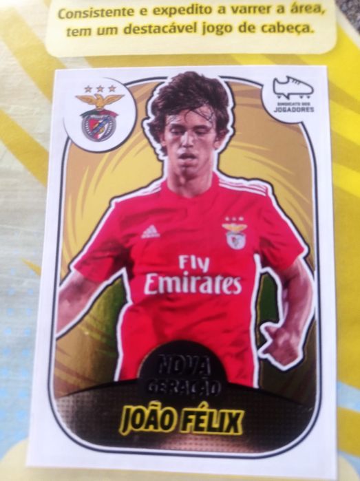 Caderneta da panini 18-19 completa