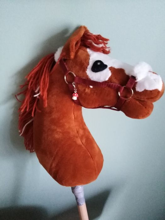 Hobby Horse, Konik na kiju