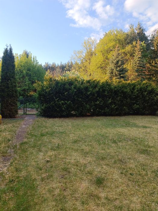 Działka ROD Brus Łódź 400m² domek z poddaszem blisko lasu - Widok 2