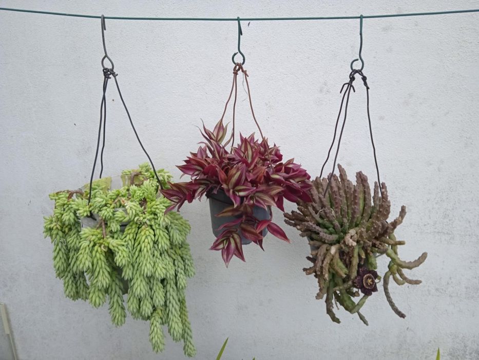 Vendo vasos bonitos para decoração da sua casa, exterior e interior.