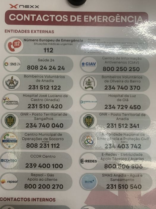 Ovos galados fenix brancos