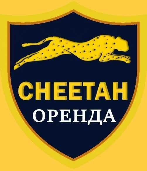 Cheetah Tool Аренда