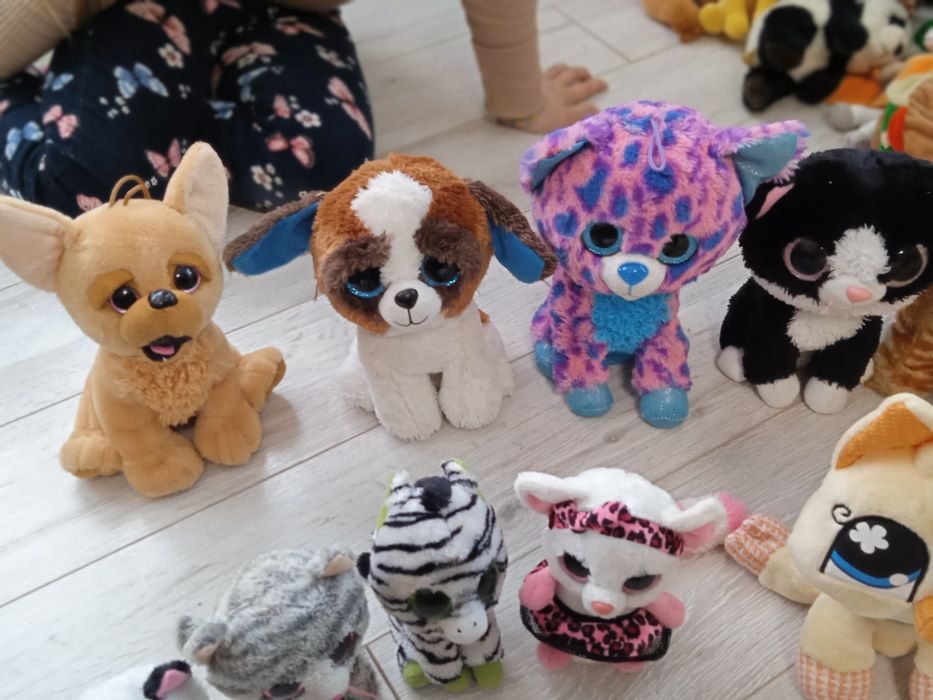 Колекція глазастики м'які,