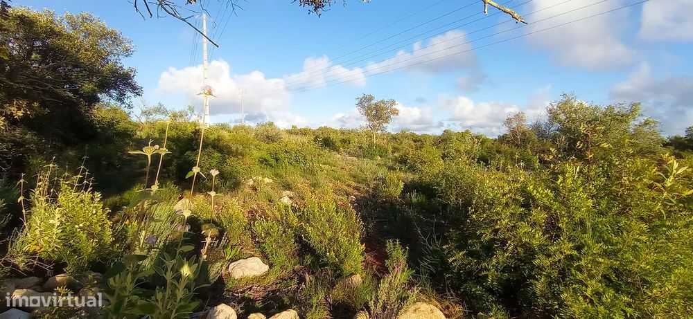 Terreno Rústico  Venda em Conceição e Estoi,Faro