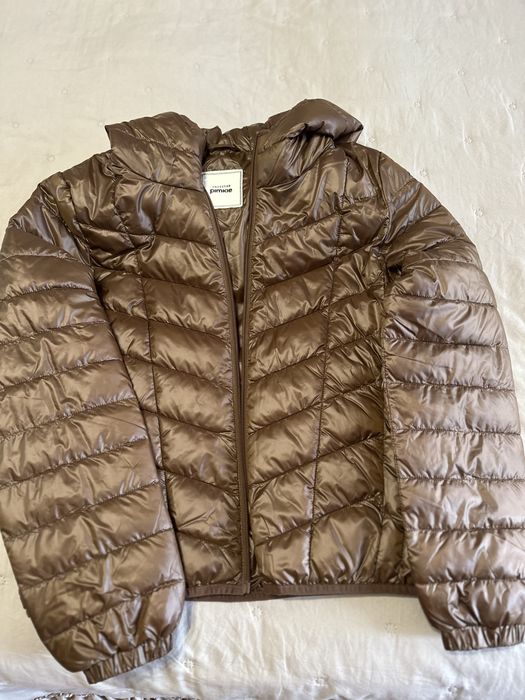 Кутра осень/весна