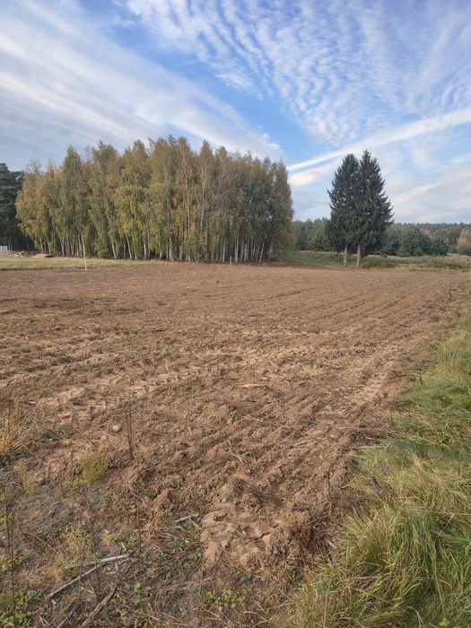 Działka budowlana k. Rypina. Wydane WZ. - Widok 3