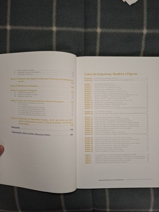 Diagnósticos Locais de Segurança