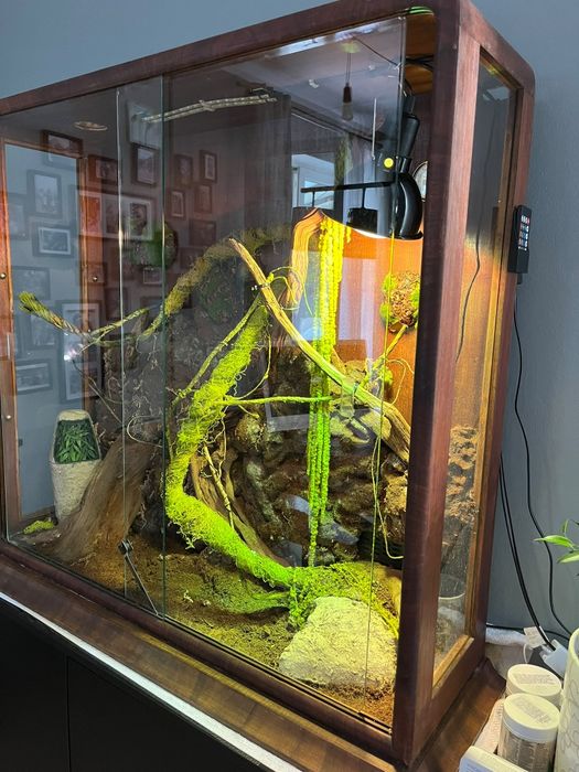 Terrarium z LITEGO DREWNA (96x29x92) – FULL ZESTAW z Wodospadem i Mgłą!